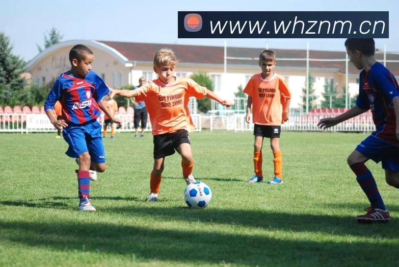 开云在线官方网站平台生态图