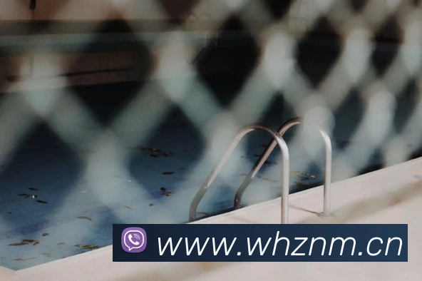 开云在线官方网站APP 封面图